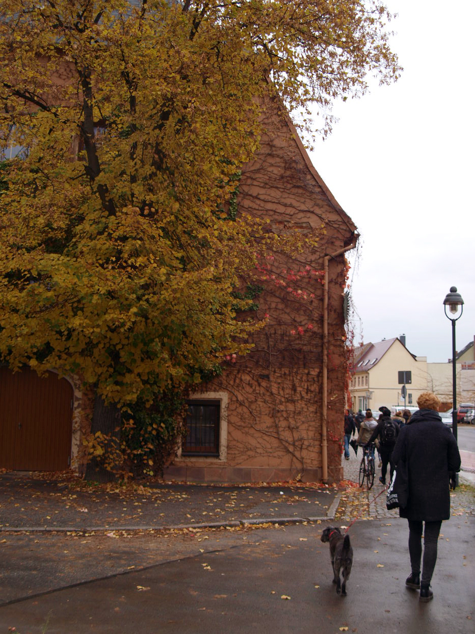 Döbeln Stadtrundgang Treibhaus